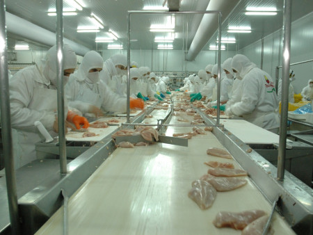 Tambalea la actividad de la mayor productora de pollos de la Argentina